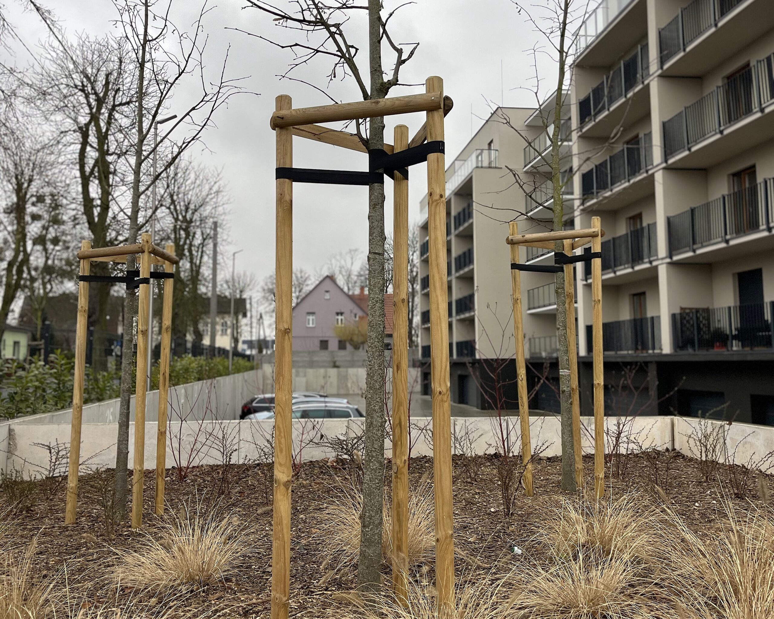 słupki drewniane słupki na ogrodzenia paliki bale drewno tartak usługi leśne (4)