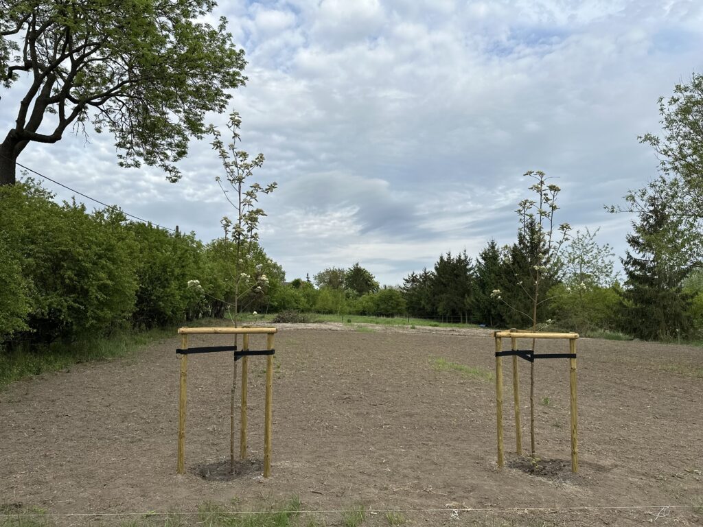 słupki drewniane słupki na ogrodzenia paliki do drzewek bale drewno tartak usługi leśne