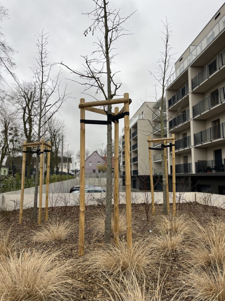 słupki paliki do drzewek swadzim