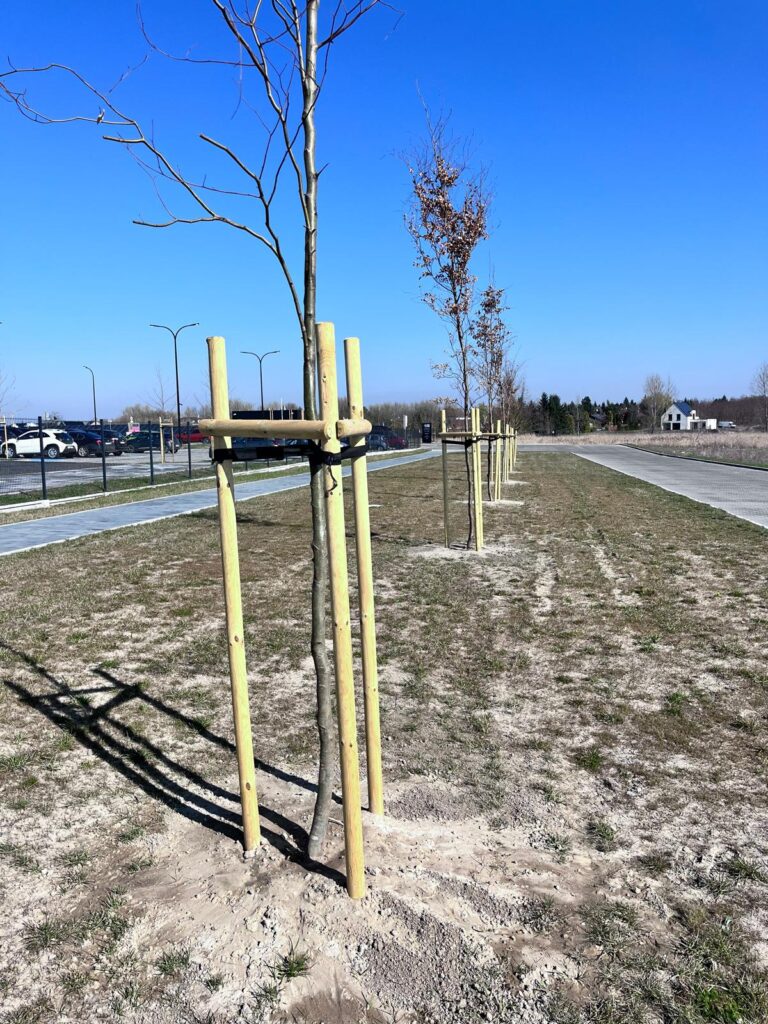 słupki paliki do drzewek swadzim