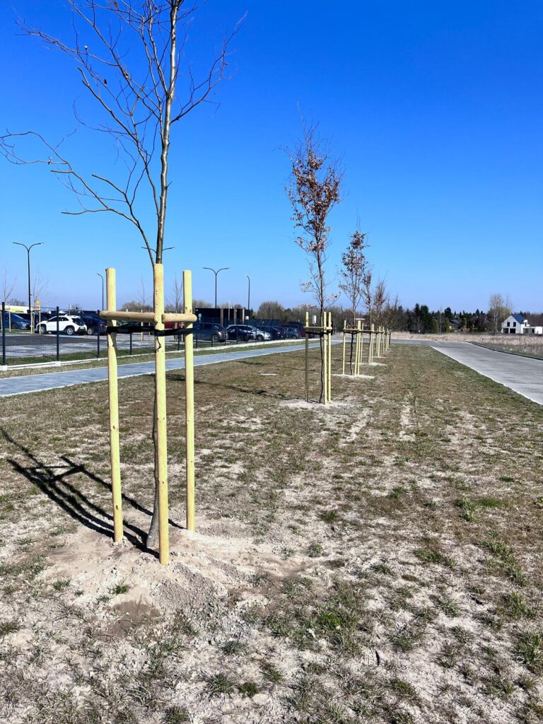 słupki paliki do drzewek swadzim