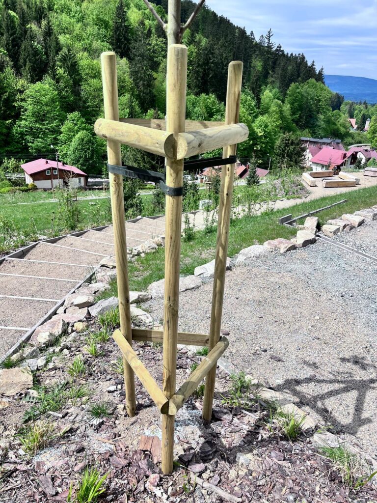 słupki paliki do drzewek swadzim